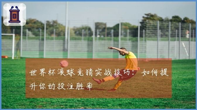 世界杯滚球竞猜实战技巧：如何提升你的投注胜率