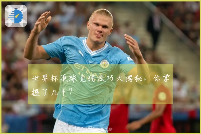 世界杯滚球竞猜技巧大揭秘，你掌握了几个？