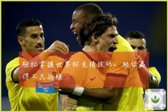 轻松掌握世界杯竞猜技巧，助你赢得不凡战绩