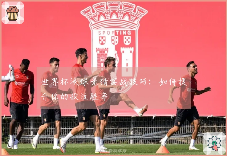 世界杯滚球竞猜实战技巧：如何提升你的投注胜率
