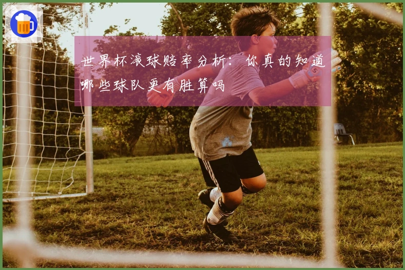 世界杯滚球赔率分析：你真的知道哪些球队更有胜算吗
