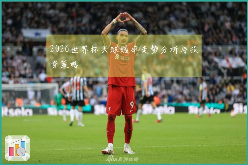 2026世界杯买球赔率走势分析与投资策略