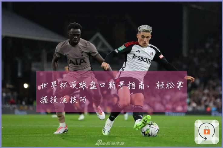 世界杯滚球盘口新手指南，轻松掌握投注技巧