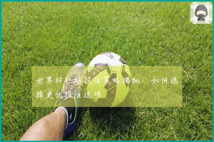 世界杯让球投注策略揭秘，如何选择更优投注选项