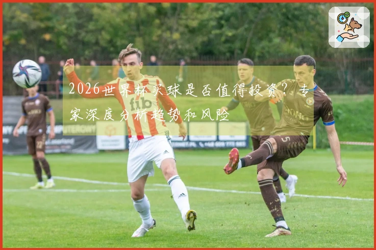 2026世界杯买球是否值得投资？专家深度分析趋势和风险