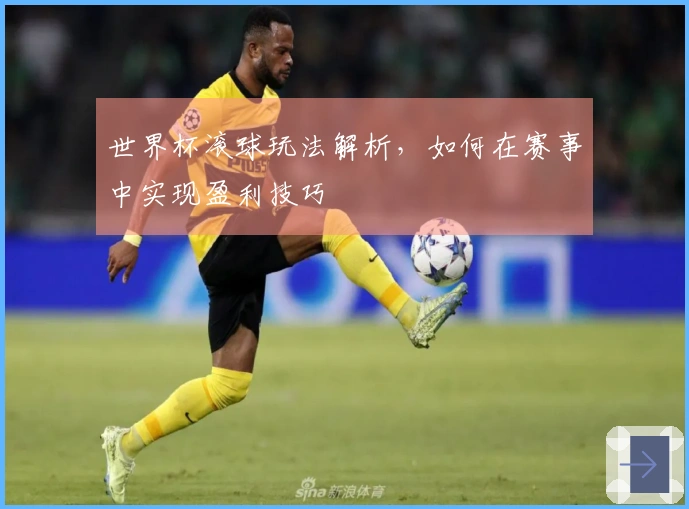 世界杯滚球玩法解析，如何在赛事中实现盈利技巧