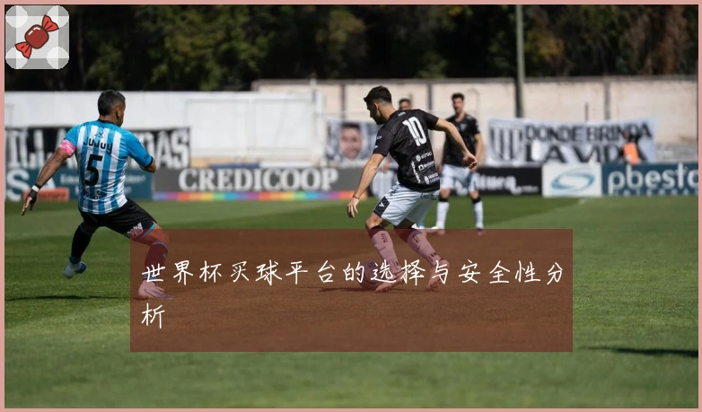 世界杯买球平台的选择与安全性分析