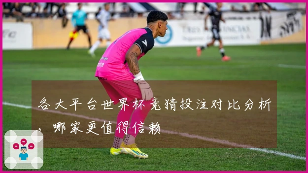 各大平台世界杯竞猜投注对比分析，哪家更值得信赖